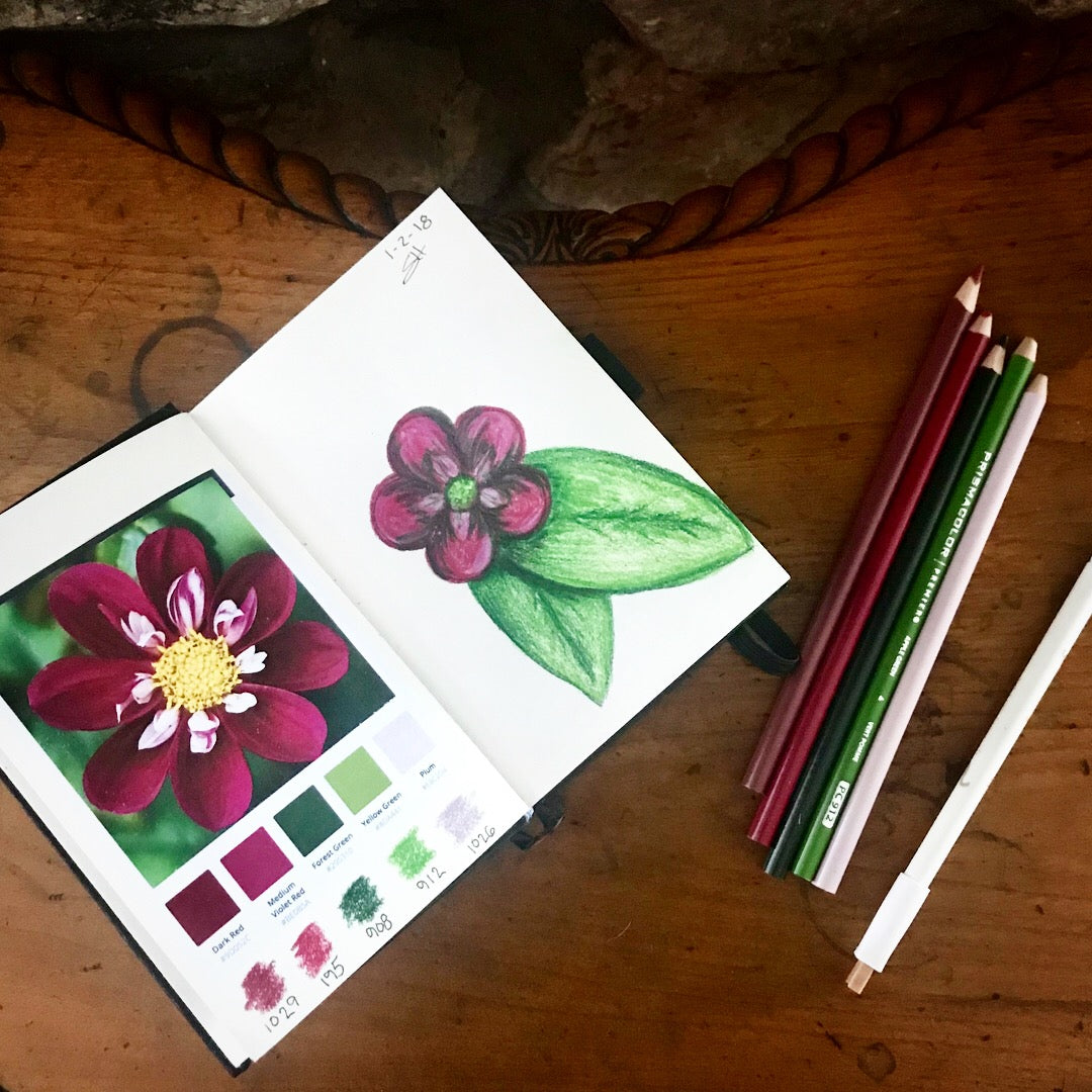 Botanical Illustration #2